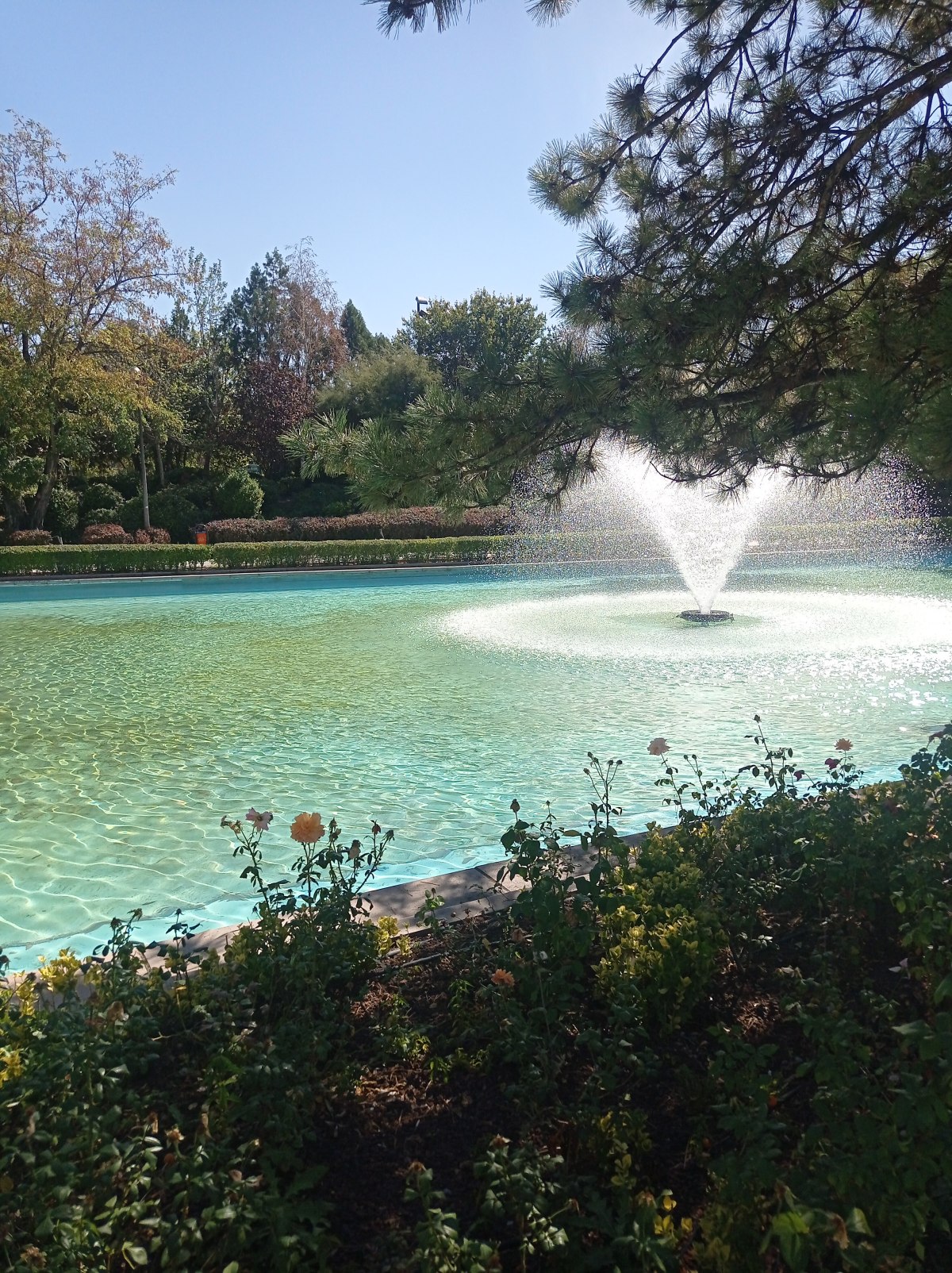 Ankara Hyundai Kona Çıkma Yedek&nbsp;Parça