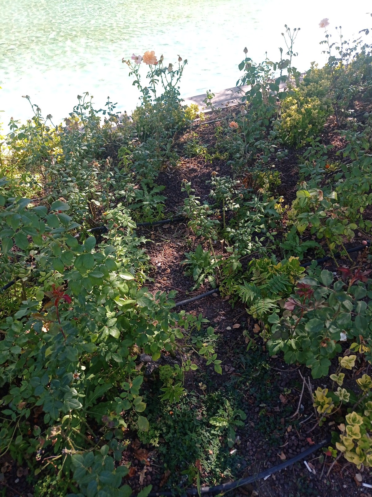 Hyundai Santa Fe Çıkma Yedek&nbsp;Parça