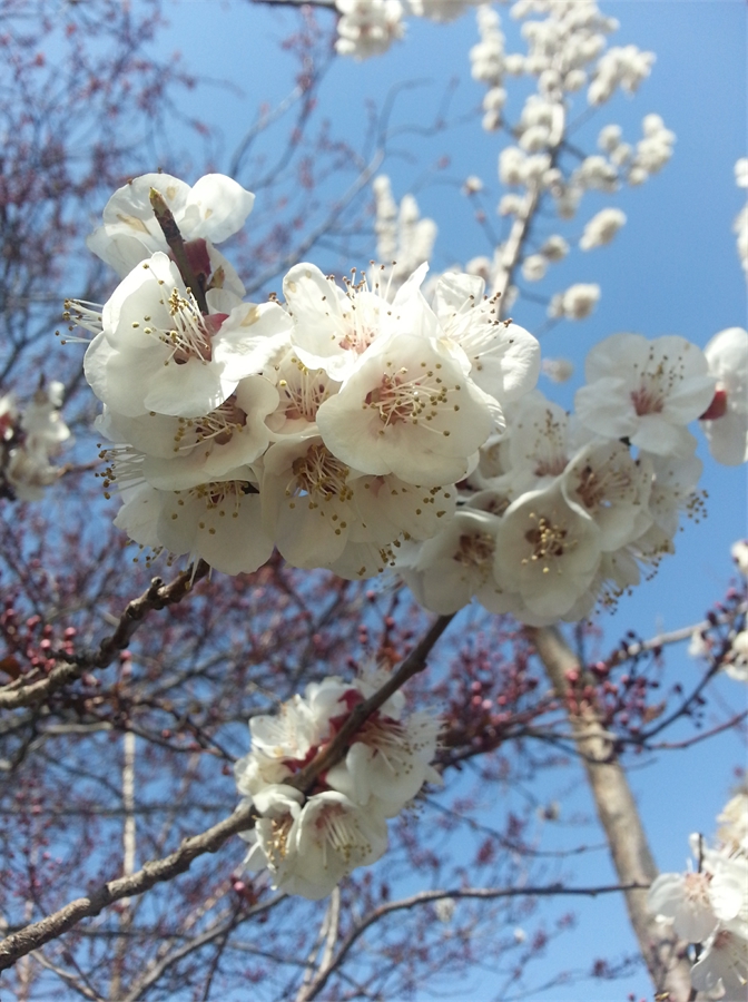 2007 Hyundai Tucson Çıkma Yedek&nbsp;Parça